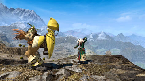 Kara&#39;age the Chocobo