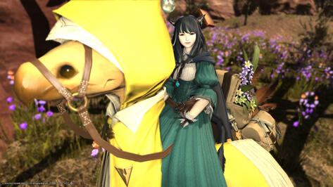 Kara'age the Chocobo